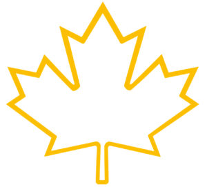 Icon of a canadian maple leaf