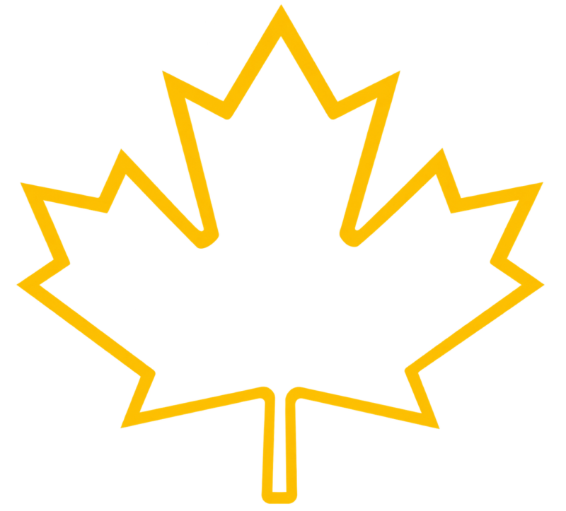 Icon of a canadian maple leaf